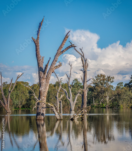 Horseshoe Lagoon, Wonga Wetlands, Albury, NSW, Australia