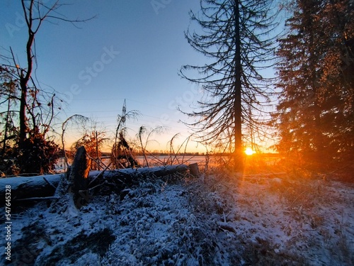 Winterlicher Sonnenaufgang im Harz 