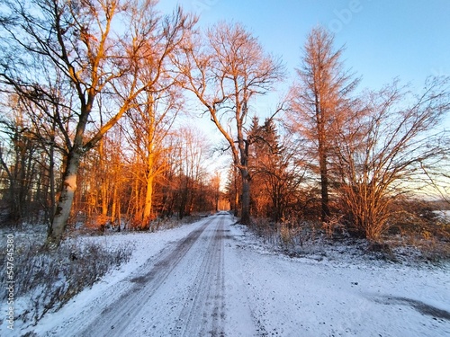 Winterlandschaft im Harz Sonnenaufgang 