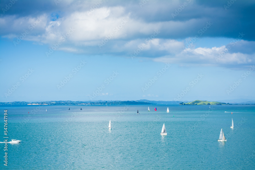 Obraz premium Small sailing boats scattered over calm waters of Auckland Harbour on a glorious winter day. North Island, New Zealand
