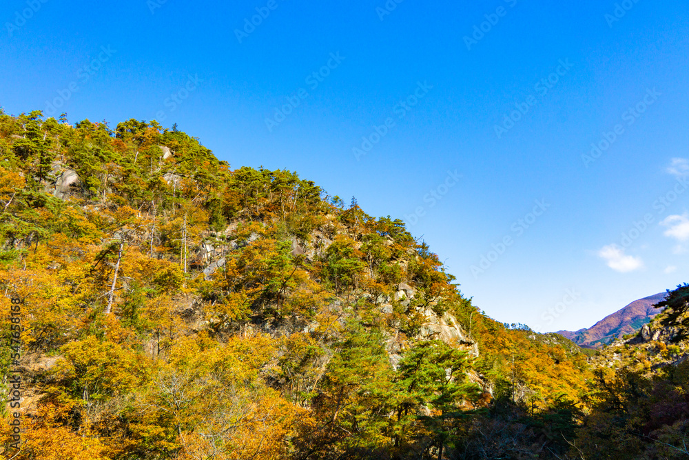 Naklejka premium 昇仙峡の山肌 秋色に染まる