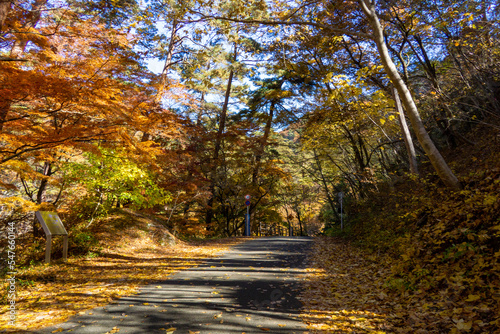 昇仙峡の遊歩道　秋の彩り