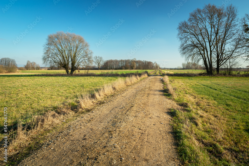 Unpaved road between meadows and trees, picturesque eastern Poland Unpaved road between meadows and trees, picturesque eastern Poland
