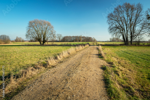 Unpaved road between meadows and trees, picturesque eastern Poland