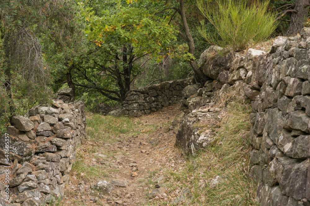 Cultural landscape in the Ardeche France at the village of Creysseilles near 07000 Privas stony path with dry masonry Cultural landscape in the Ardeche France at the village of Creysseilles near 07000 Privas stony path with dry masonry