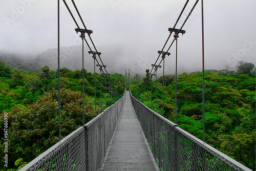 Suspension bridge Costa Rica Monteverde Cloud Forest