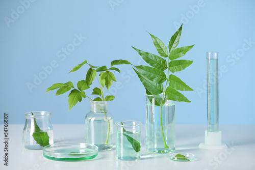 Laboratory glassware with plants on white table