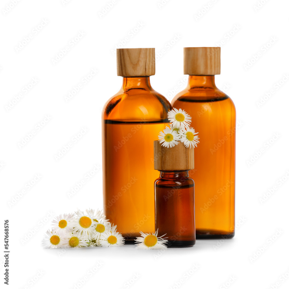 Bottles of chamomile essential oil and flowers on white background Bottles of chamomile essential oil and flowers on white background