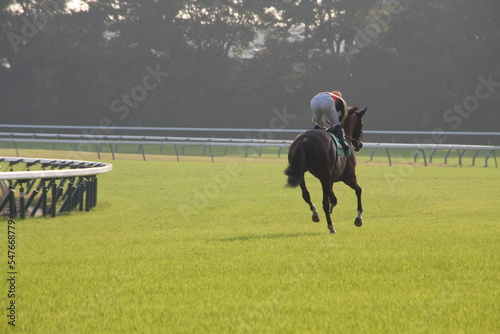 horse riding on a track