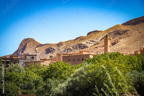 canyon, valley of roses, morocco, oasis, river, m'goun, high atlas mountains, north africa, mosque