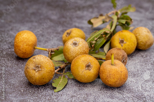 Wild pear (also known as Pyrus pyraster, pyrus elaeagrifolia, coniferous pear); Turkish name Ahlat pear photo