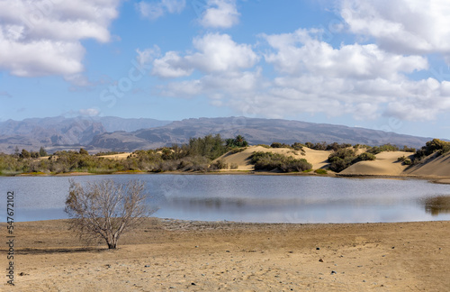 Maspalomas, sand dunes , Gran Caneria