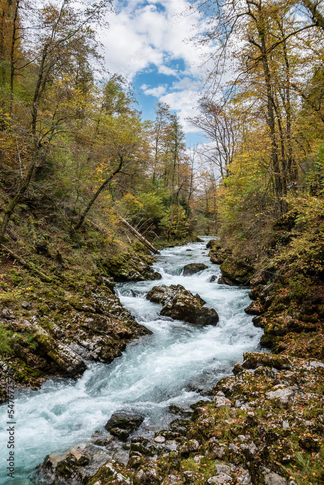 Scenic wild river flowing through the Vintgar gorge in Slovenia Scenic wild river flowing through the Vintgar gorge in Slovenia