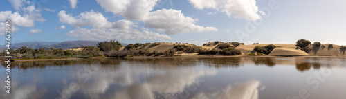 Gran canaria , Maspalomas, sand dunes panorama