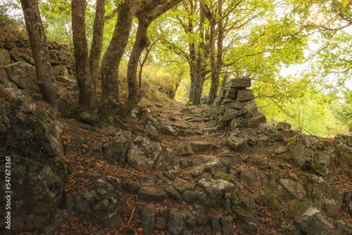 Cultural landscape in the Ardeche France at the village of Creysseilles near 07000 Privas stony path with dry masonry