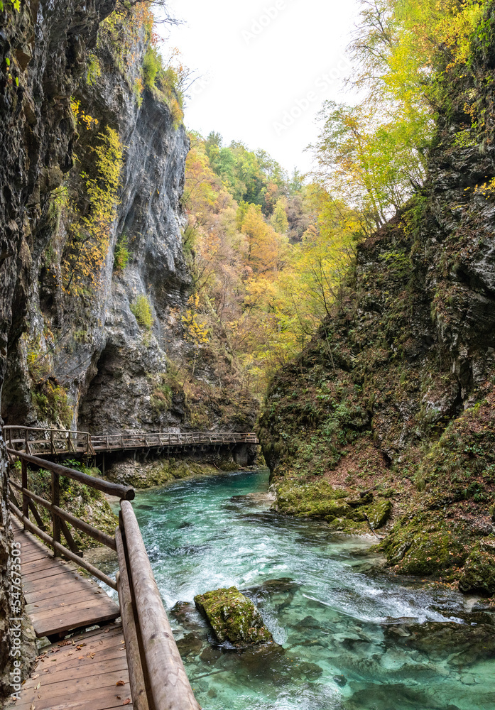 Scenic wild river flowing through the Vintgar gorge in Slovenia Scenic wild river flowing through the Vintgar gorge in Slovenia