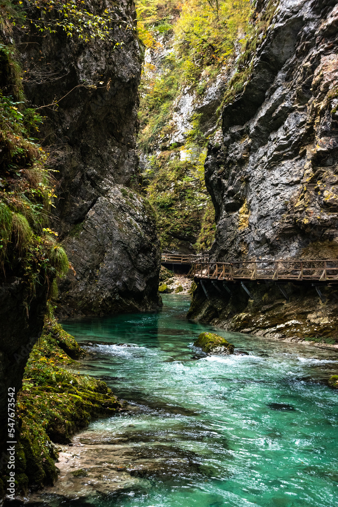 Scenic wild river flowing through the Vintgar gorge in Slovenia Scenic wild river flowing through the Vintgar gorge in Slovenia