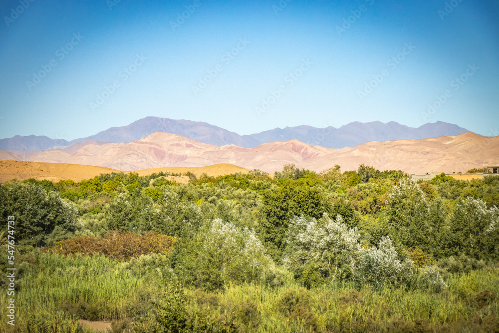 Fotografie valley of the roses, morocco, north africa, high atlas mountains, oasis