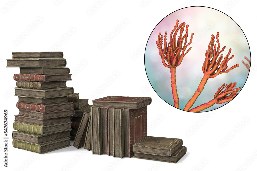 Mold in old books, combined 3D illustration. A pile of old books and