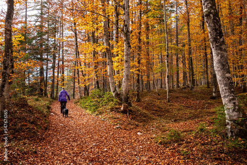 Hiking through the Vrata valley in autumn, Triglav National Park in Slovenia © imagoDens