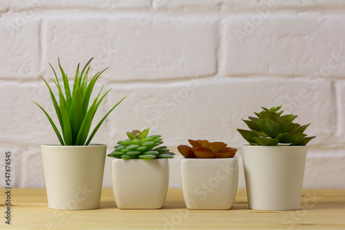 Indoor artificial plants, various succulents in pots. Succulents in white mini-pots. Ideas for home decoration.Copy space .