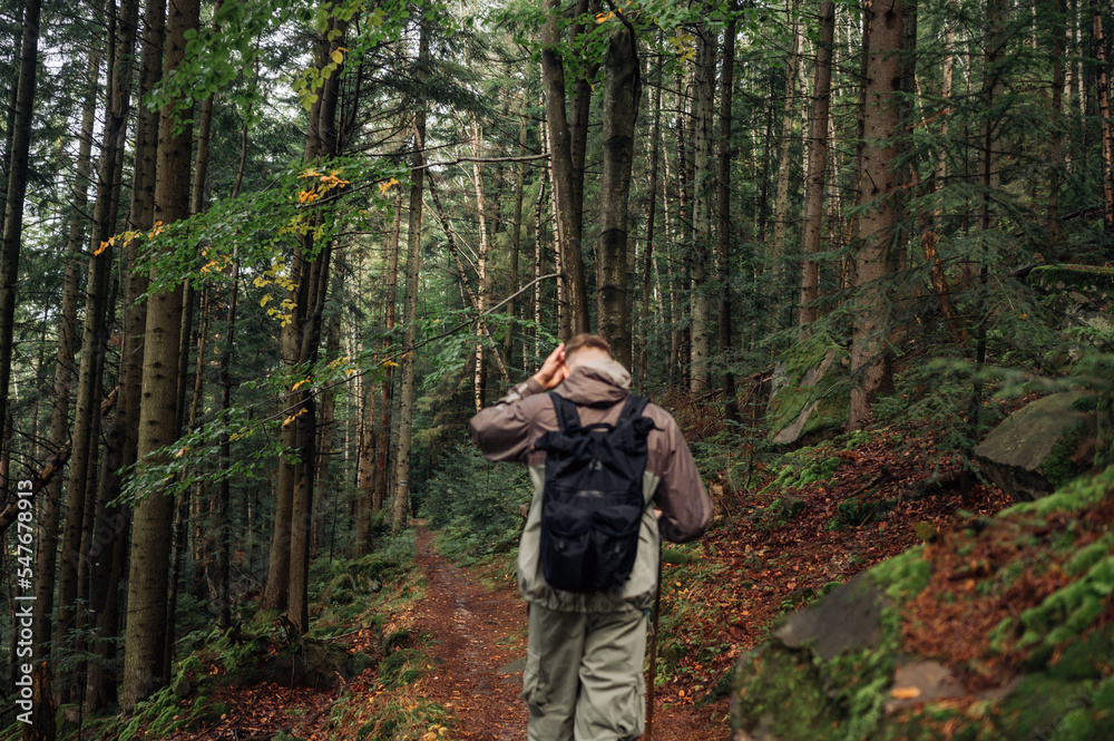 Obraz premium Background. A forest in the mountains and a tourist walking on a path. Blurred photo.