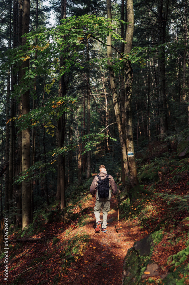 Photo of a male tourist walking alone with a stick in his hands along a path in the forest, climbing a mountain, hiking in the mountains. Trips to the mountains. Photo of a male tourist walking alone with a stick in his hands along a path in the forest, climbing a mountain, hiking in the mountains. Trips to the mountains.