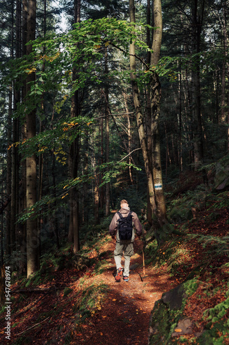 Photo of a male tourist walking alone with a stick in his hands along a path in the forest, climbing a mountain, hiking in the mountains. Trips to the mountains.