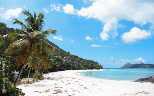Beautiful tropical beach with palm trees at Seychelles