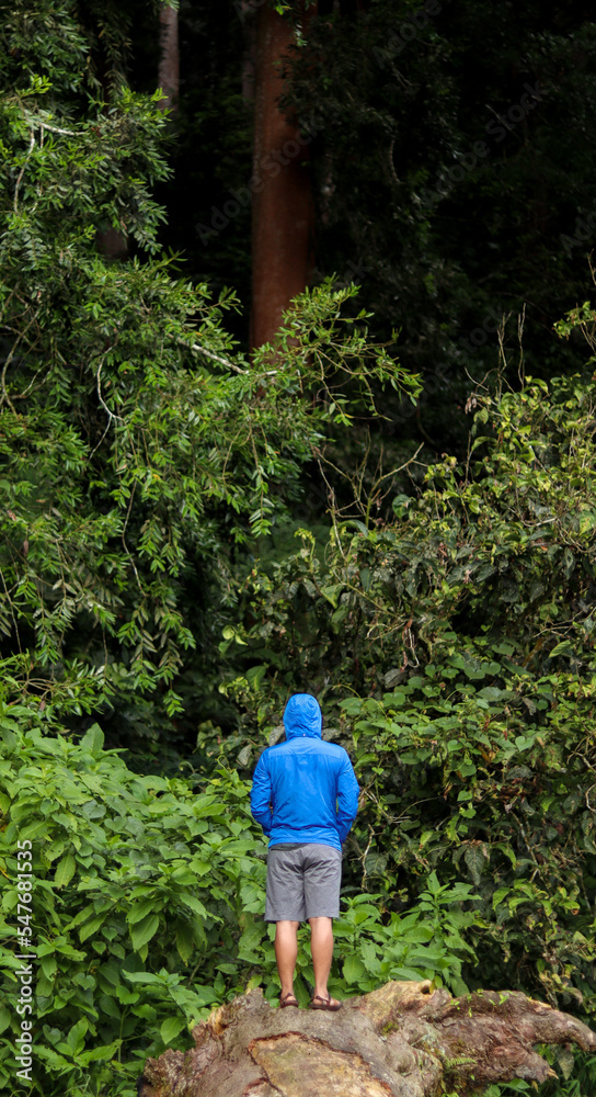 asian man with black hair in blue jacket standing on a fallen tree overlooking green tropical forest