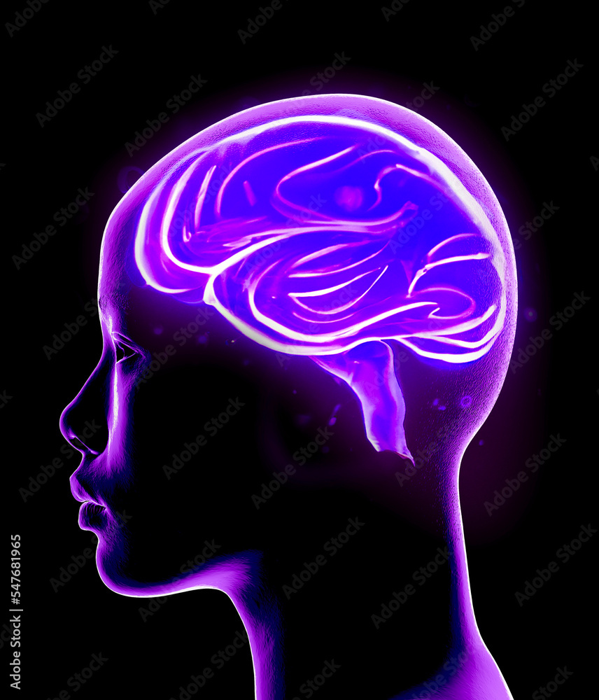Obraz premium Neurology, philosophy: connections, the development of thought and reflection, the infinite possibilities of the brain and mind. Human anatomy. Digital reality, artificial consciousness. 3d rendering
