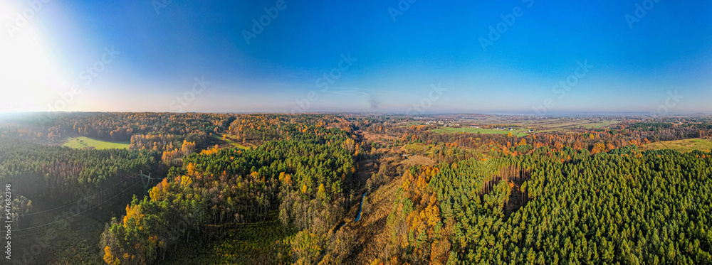 Meandry rzeki Biała w Polsce, panorama jesienią z lotu ptaka - obrazy, fototapety, plakaty 