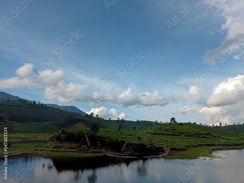 view of a lake and tea plantations