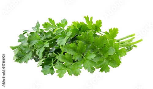 Parsley herb isolated on transparent png