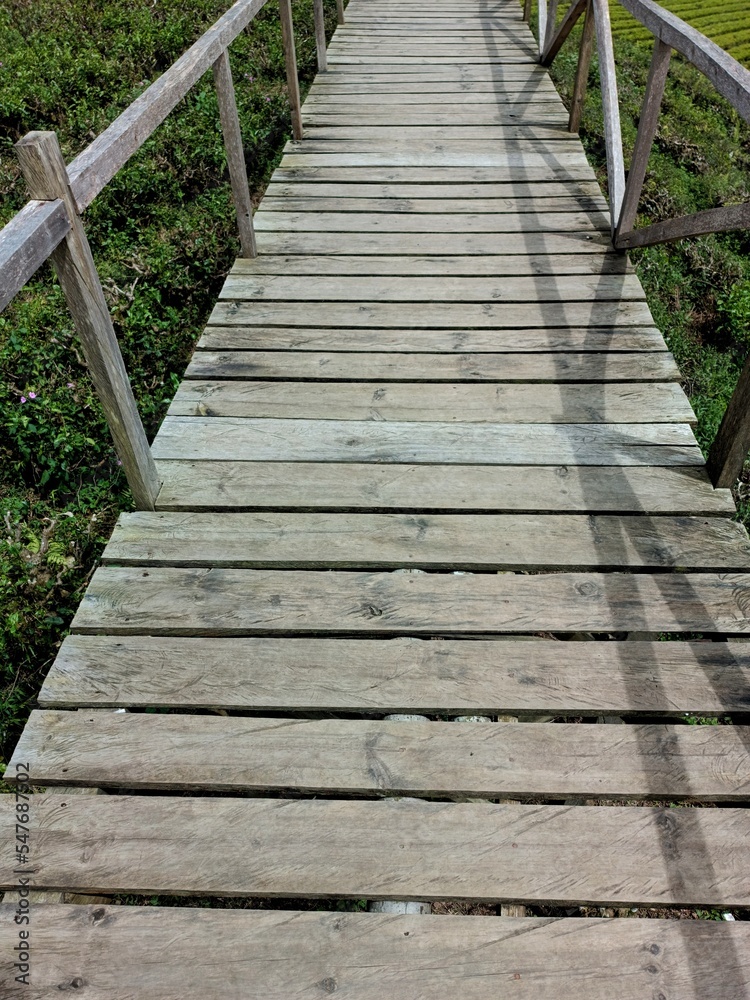 wooden bridge in the tea garden wooden bridge in the tea garden