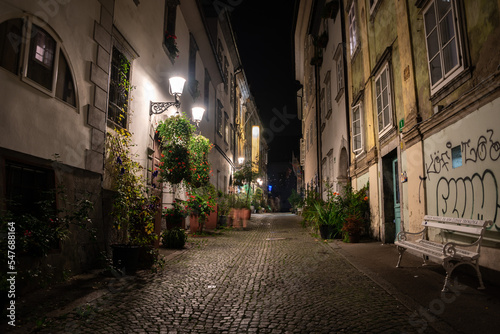 Scenic little Krizevniska alley in Ljubljana illuminated at night, arranged with plants at the sides © imagoDens
