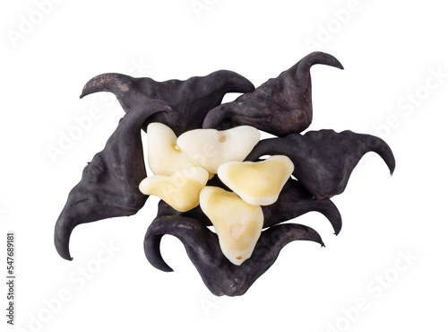 Foto Water chestnut on transparent png