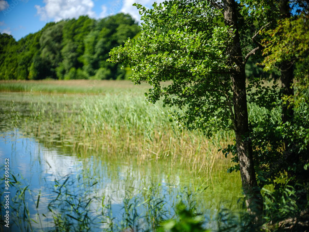 beautiful countryside lake in summer with reflections beautiful countryside lake in summer with reflections