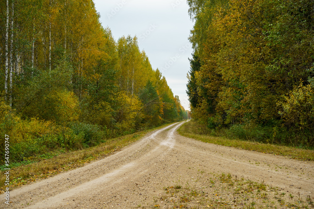 Fototapeta premium country gravel road in perspective