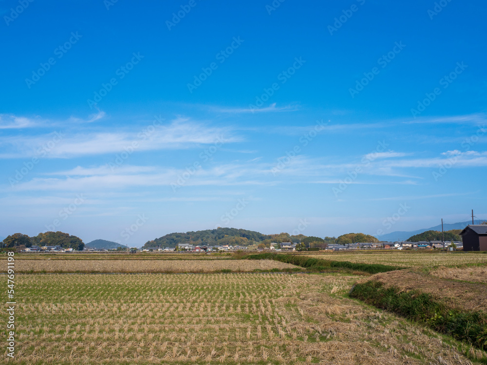 田舎の冬の青い空