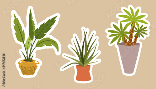 House plants stickers. Set of hygge tropical patee succulent plants stickers. Cozy lagom style collection of plants in cartoon style. Hand draw vector bundle.