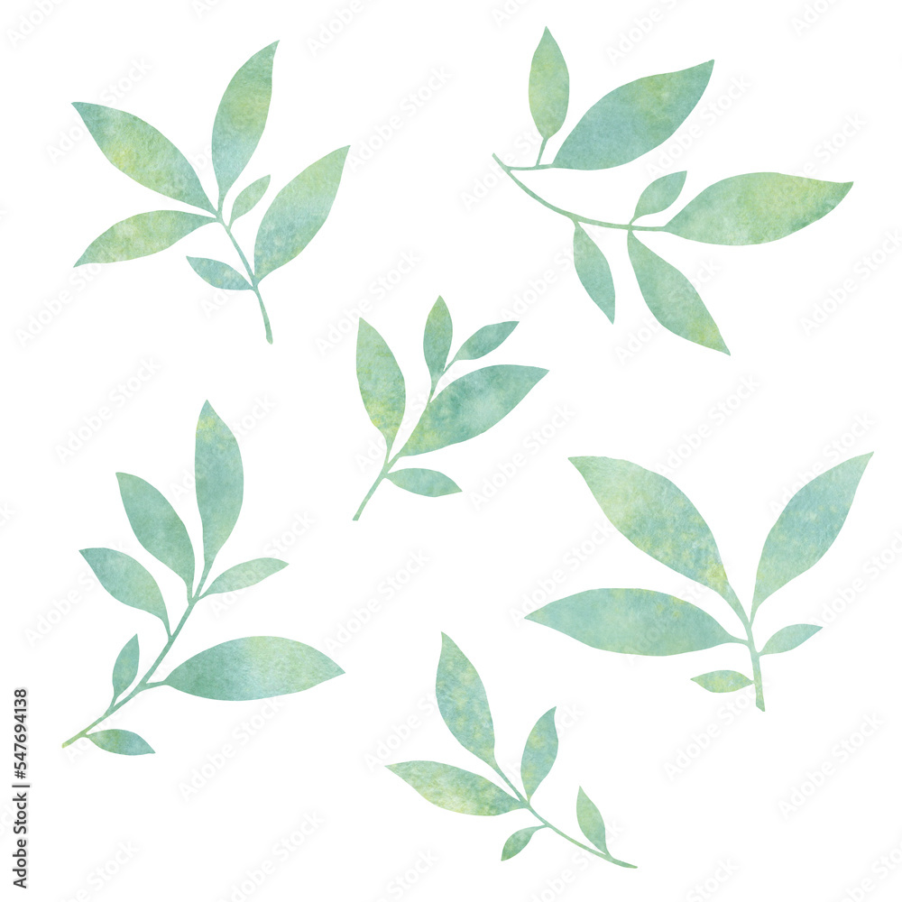set of watercolor leaves. graceful leaves for design, postcards, invitations, prints. Delicate branches illustration