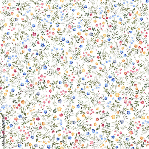 seamless floral pattern with meadow flowers on white background