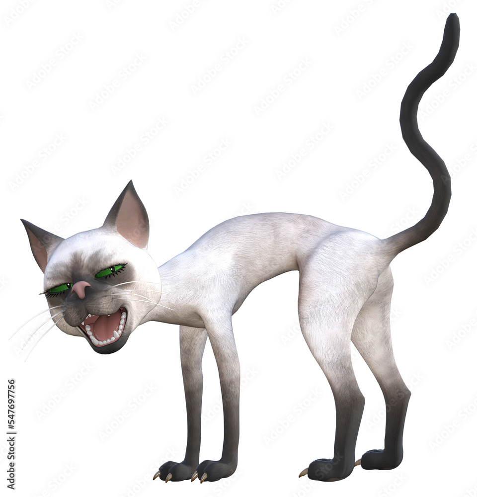 Siamese Cat 3D PNG Illustration 7