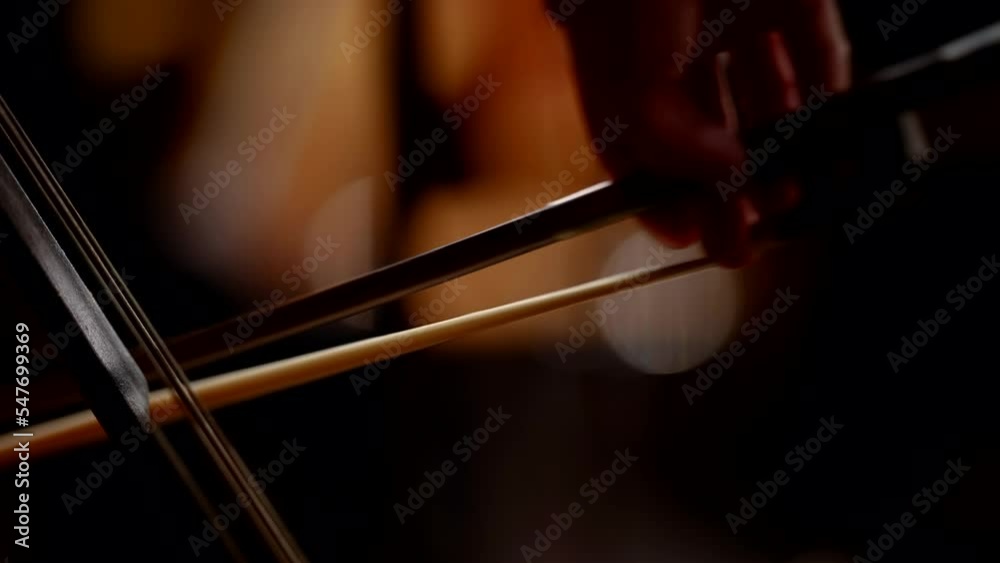 Musician hands on a classical double bass close-up. Action at work as a musician. Wooden string equipment for an art show