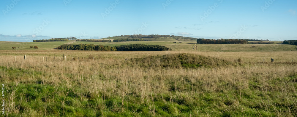 wide-angle panorama scenic view of woodland copse, chalkland meadows and a tump, Sidbury Hill, Wiltshire