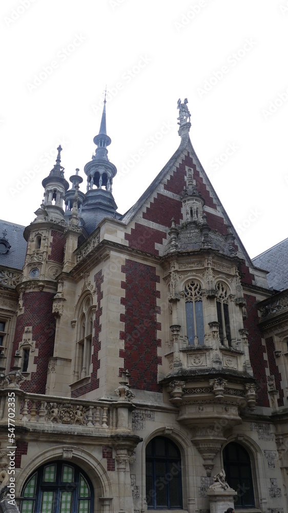 photo de toitures d'un château en France.