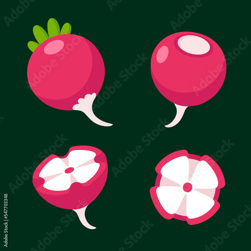 Cartoon carved radish illustration set