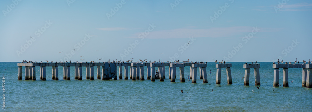 Panorama photo Fort Myers Beach Pier