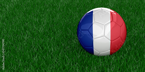 France National football with country flag pattern. Soccer tournament concept. Sports betting. Realistic 3D rendered grass background  copy space. Set of 26 images.